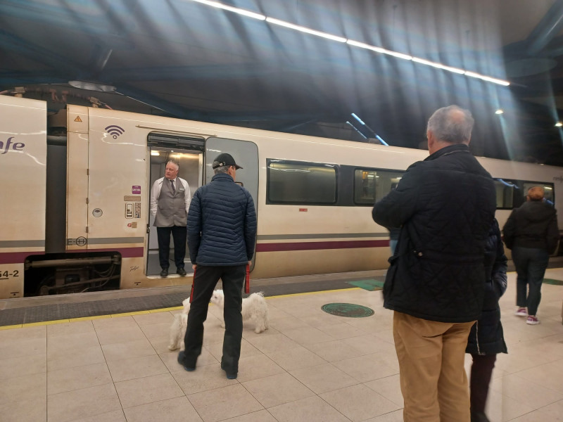 Familiares esperan a los pasajeros del tren