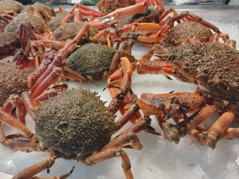 Centollas en el mercado de A Coruña plaza de Lugo marisco