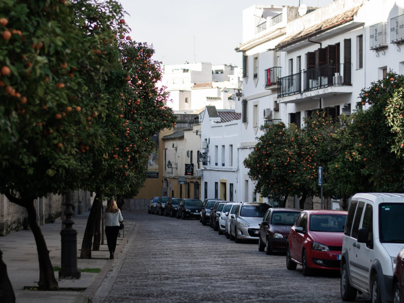 Una foto de una calle de Córdoba en época navideña