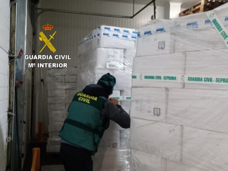 Imágenes de la operación de la Guardia Civil