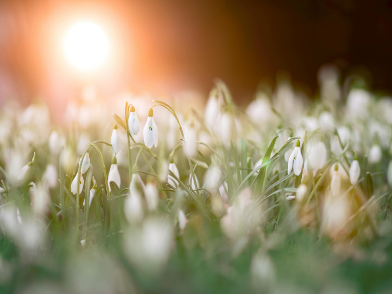 'Merezco una primavera'