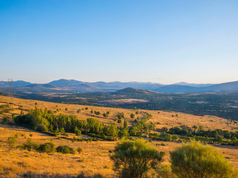 Sierra de Guadarrama (Horcajo de la Sierra)