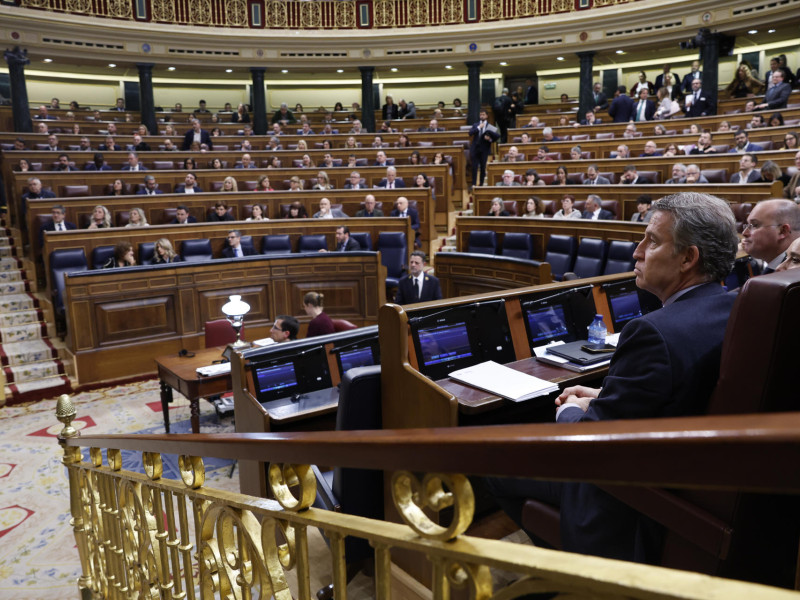 El líder del PP, Alberto Núñez Feijóo, durante un pleno del Congreso de los Diputados en Madrid