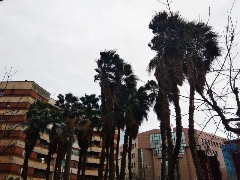 Rachas de viento en Euskadi