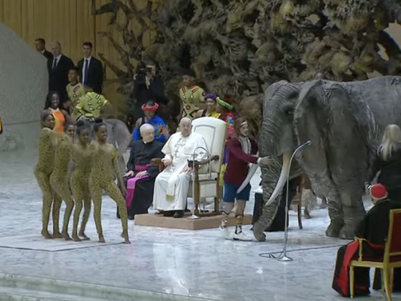 El Papa observa la exhibición circense durante la audiencia general