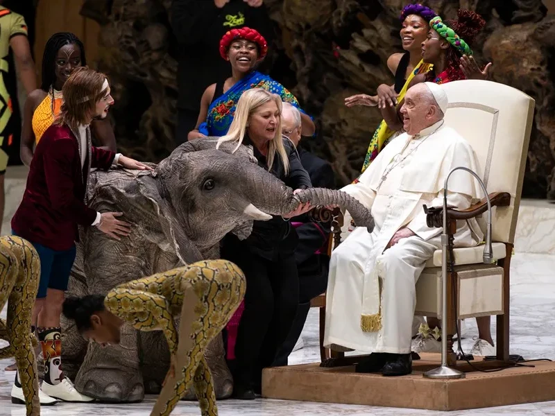 El Papa observa la exhibición circense durante la audiencia general