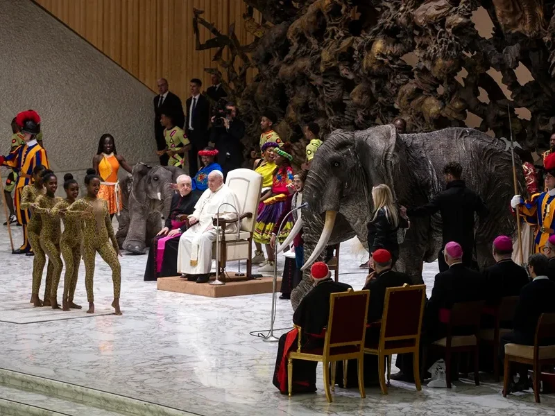 El Papa observa la exhibición circense durante la audiencia general