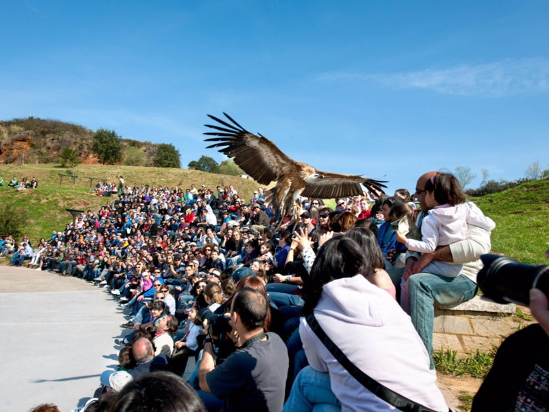 Imagen de archivo del Parque de la Naturaleza de Cabárceno.GOBIERNO DE CANTABRIA