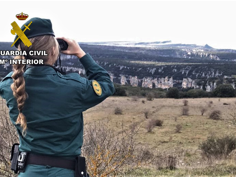 Durante esta mañana se han sumado otras unidades más, como el SEPRONA, USECIC, GREIM, Servicio cinológico de búsqueda de personas y el helicóptero del Cuerpo