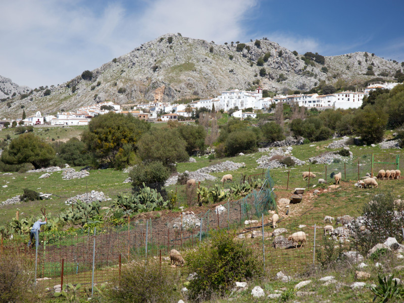 Trabajadores en los campos de Benaocaz, en la Sierra de Grazalema