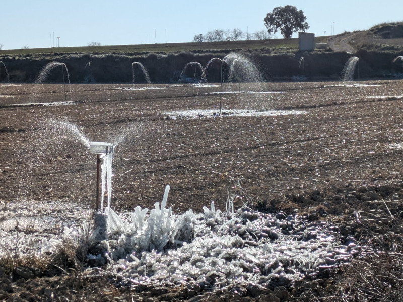 Imagen de un campo en Tabernas de Isuela (Huesca).