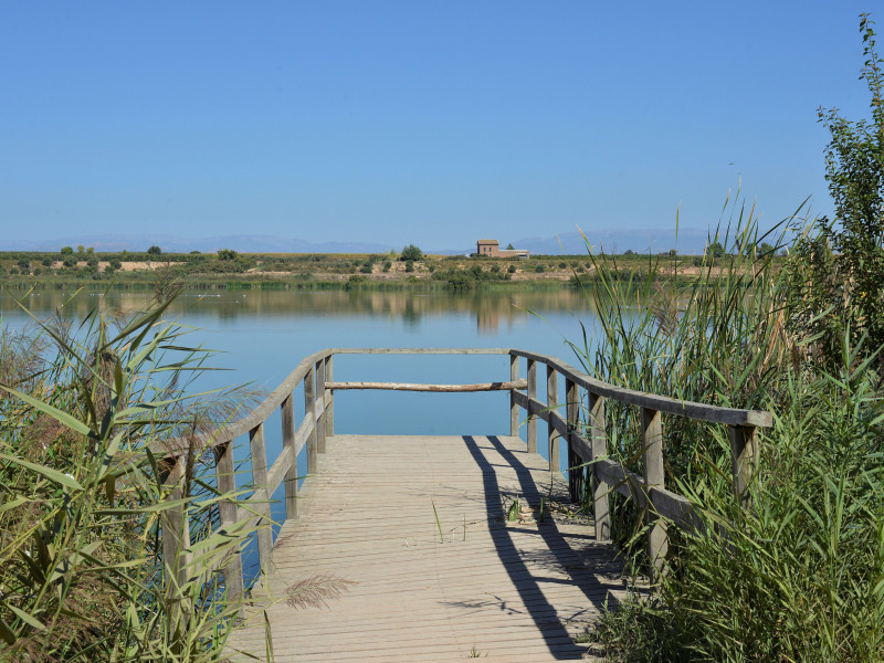 Imagen de Estany Ivars i Vila-sana, en Pla d'Urgell