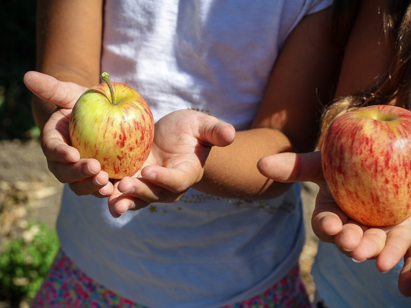 El 90,6% de los padres de escolares con sobrepeso y el 43,3% de los progenitores de niños con obesidad consideran que sus hijos tienen un peso normal