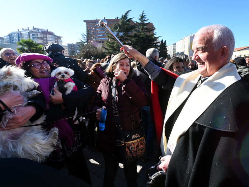 Reparto tradicional de titos en Gamonal con motivo de la festividad de San Antón