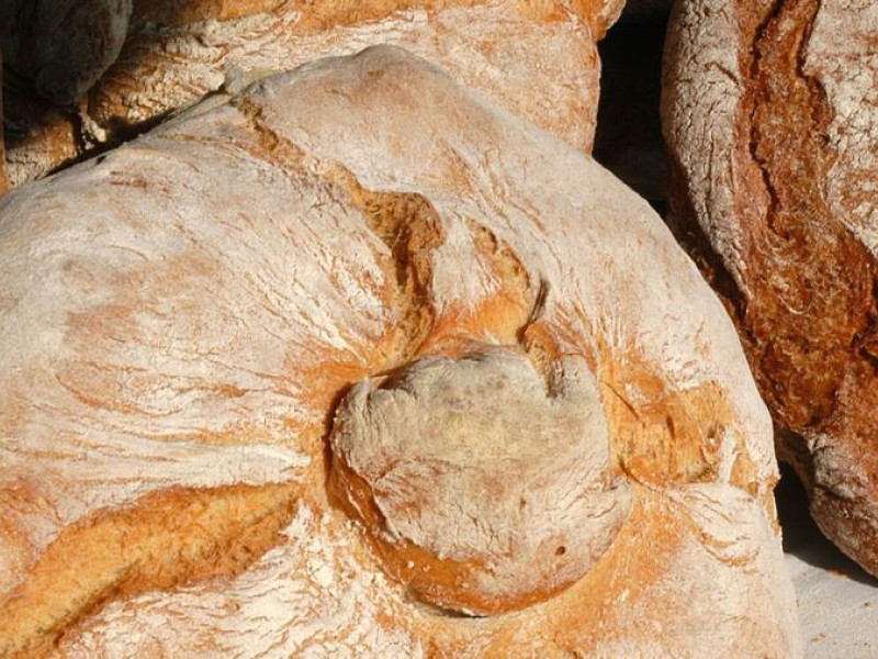 El pan gallego es de los mejores