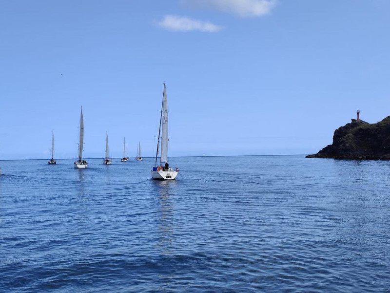 Veleros participantes en el Camino de Santiago a Vela