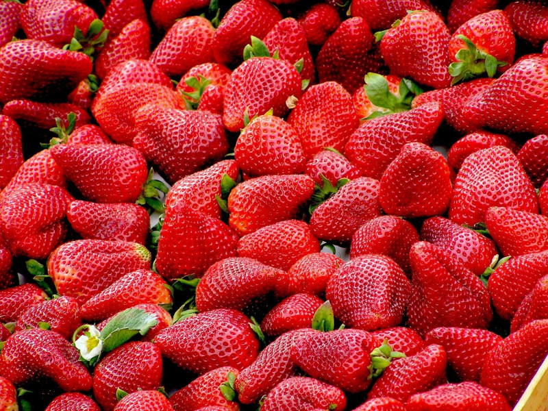 (Foto de ARCHIVO)Fresas de Huelva.JUNTA DE ANDALUCÍA14/3/2024