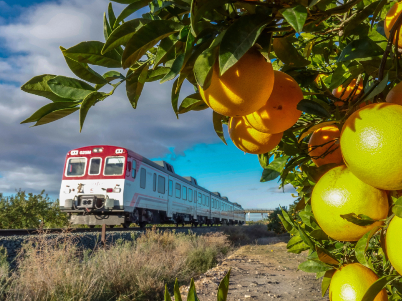 Tren atravesando el trayecto entre Alicante y Elche