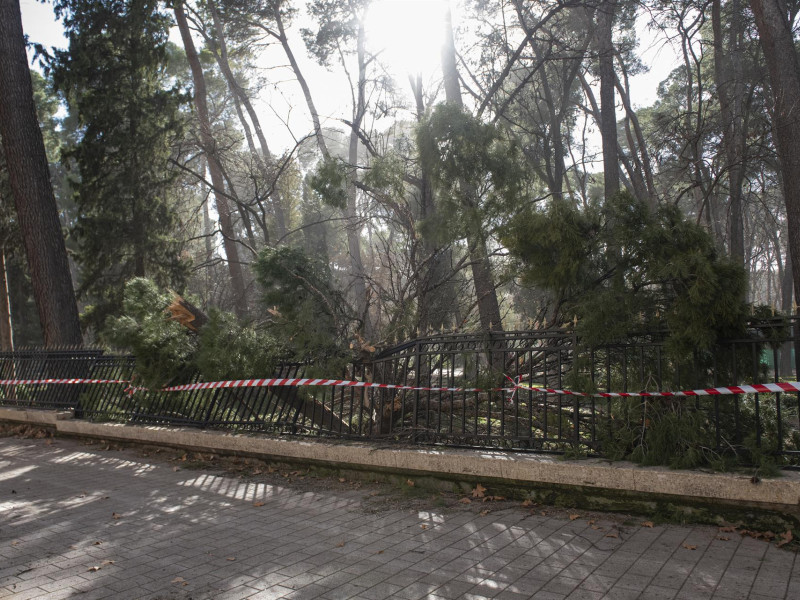 Viento en Albacete