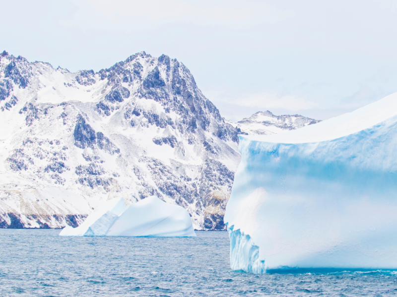 Icebergs en Georgia del Sur