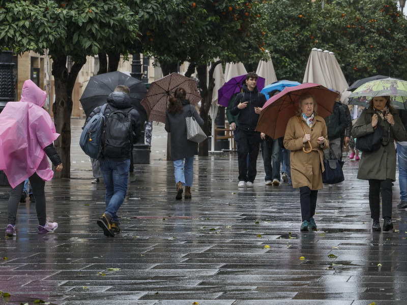 Personas con paraguas caminan por Sevilla por las lluvias continuas que está dejando a su paso por Andalucía la borrasca Herminia junto a fuertes rachas de viento que han provocado el cierre de parques en la capital hispalense, Jaén o Úbeda