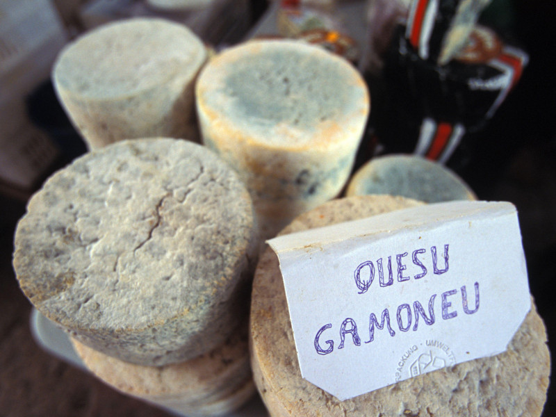 Queso Gamoneu, queso típico asturiano en el mercado de alimentos de la Plaza del Mercado, Cangas de Onís, Asturias