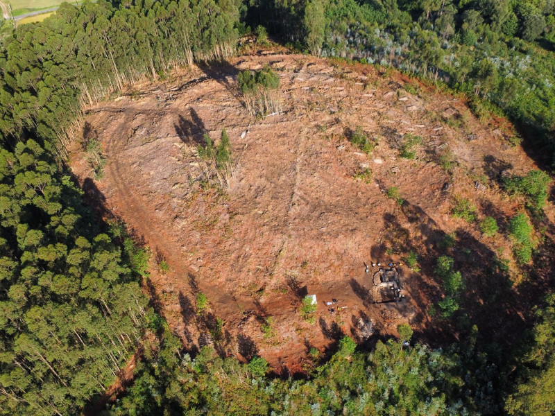El concello de Ferrol ha sido el encargado de limpiar el castro de Tralocastro de eucaliptos