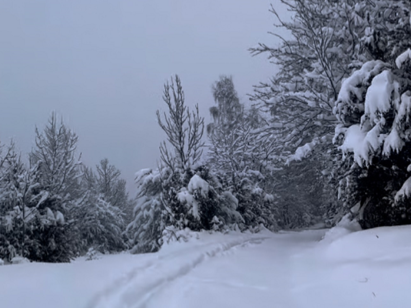 Carretera de Panticosa