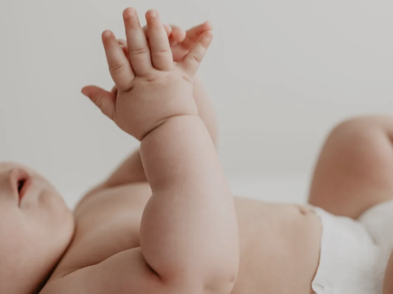 bebe