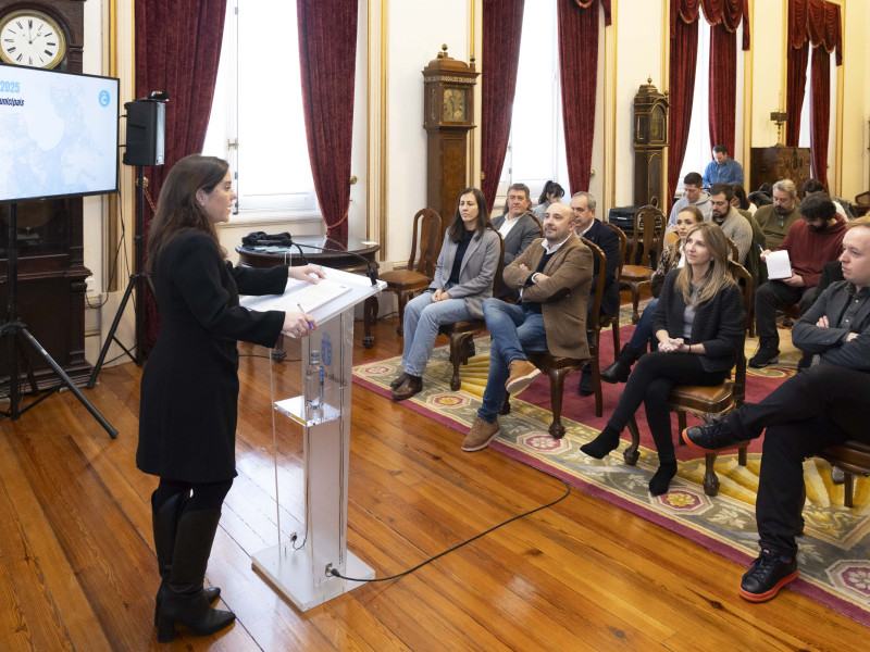 Presentación dos orzamentos 2025