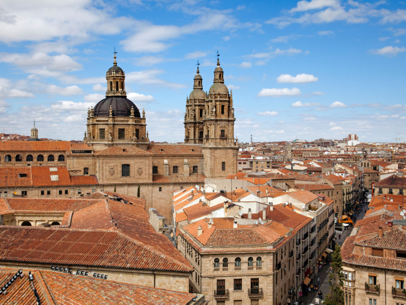 Vista desde la torre de la Catedral de Salamanca