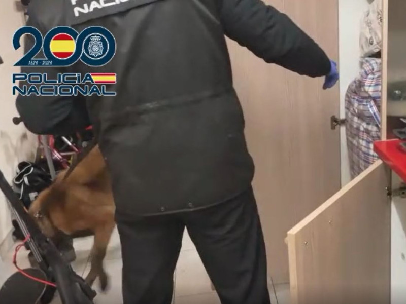 Operación de la Policía Nacional contra el tráfico de cachorros