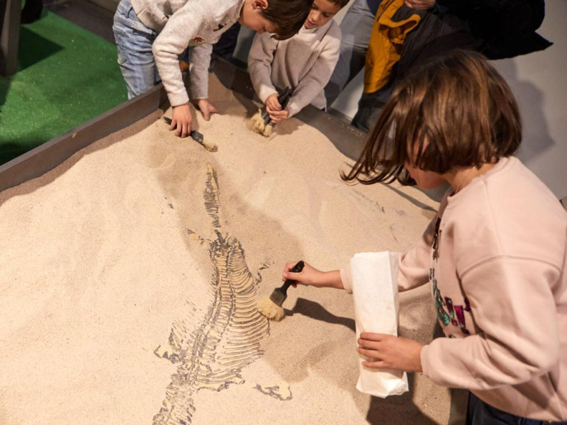 Para los más pequeños, la exposición contará con una zona arenero, un espacio en el que los niños podrán ponerse en el papel de paleontólogos