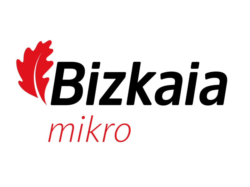 Bizkaia Mikro