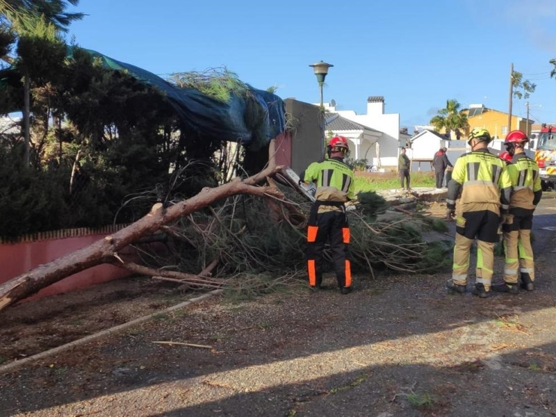 Efectivos del Consorcio Provincial de Bomberos en la zona afectada por el paso del tornado en Pozo del Camino.REMITIDA / HANDOUT por CONSORCIO PROVINCIAL DE BOMBEROSFotografía remitida a medios de comunicación exclusivamente para ilustrar la noticia a la que hace referencia la imagen, y citando la procedencia de la imagen en la firma12/2/2025