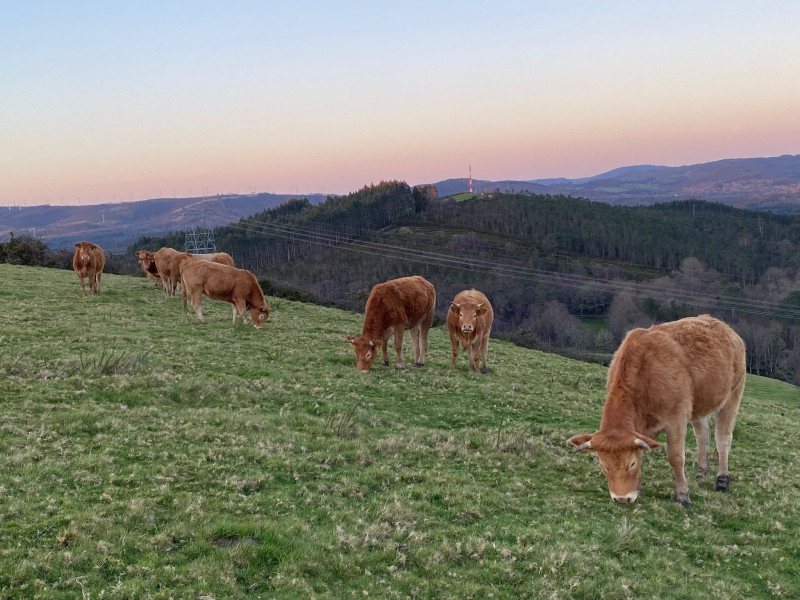 Granja familiar en Xermade, Lugo