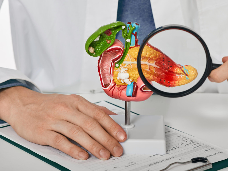 Diagnóstico y tratamiento de la enfermedad pancreática. Médico que consulta a un paciente con pancreatitis aguda. Paciente que señala la enfermedad pancreática en la anatomía.