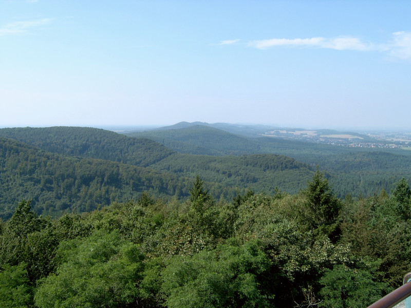 El bosque de Teotoburgo