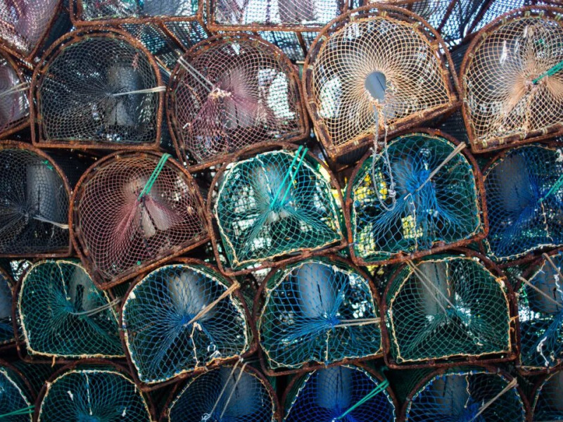 Las nasas con las que se pesca el pulpo en Asturias