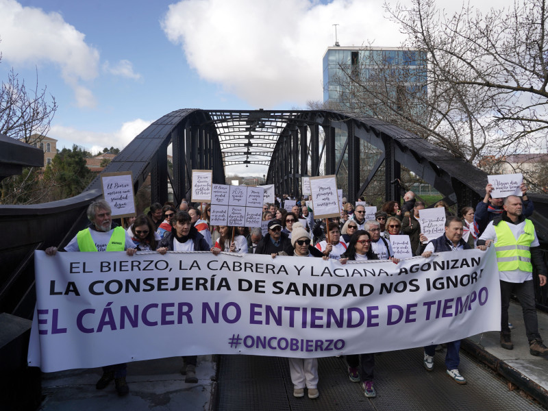 El Bierzo clama en Valladolid por una sanidad pública digna