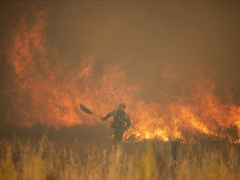 Efectivos de bomberos durante el incendio de la Sierra de la Culebra, a 18 de junio de 2022, en Zamora