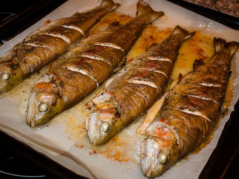 Trucha al horno con condimentos. Cuatro pescados enteros en la bandeja para hornear, listos para comer. Cocina en casa