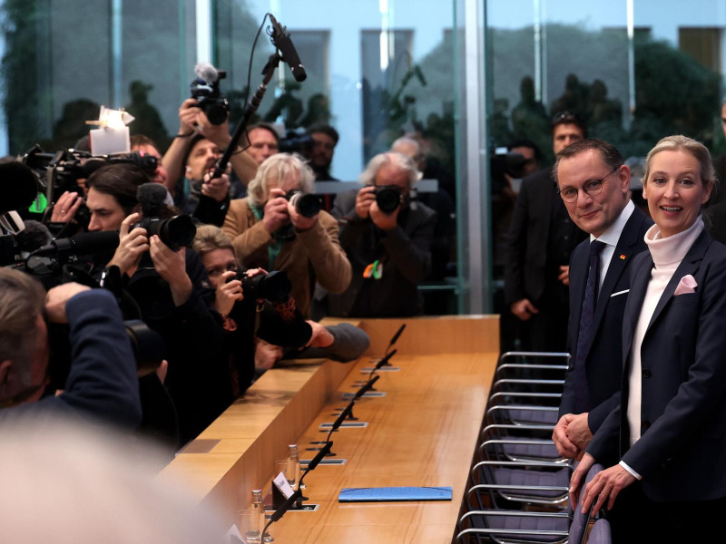 Alice Weidel, candidata de AfD, Alternativa para Alemania