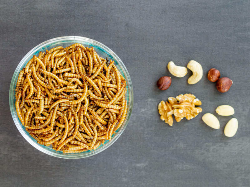 Insectos que sirven de aperitivo. Larvas de gusanos de la harina como alimento y variedad de frutos secos. Gusanos de la harina, crustáceos, tenebrio molitor