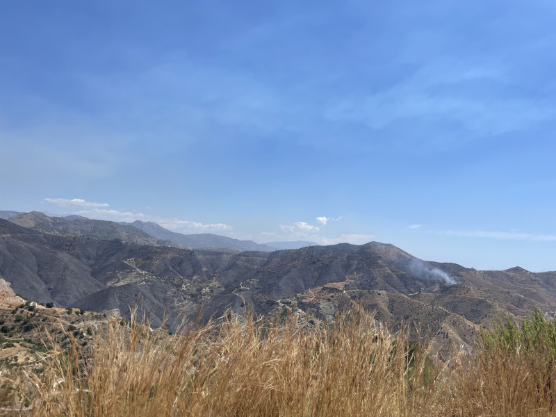 Los agricultores damnificados por el incendio de Almuñécar exigen las ayudas prometidas