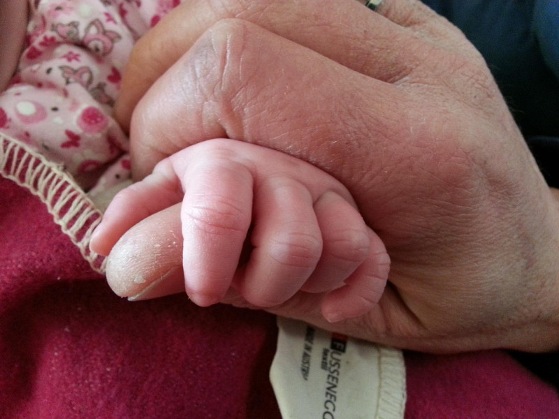 Hoy en día los abuelos son esenciales para el mantenimiento y cuidado de los nietos