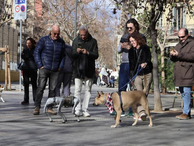 El perro robótico despierta la curiosidad de todos.