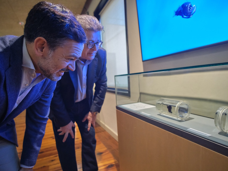 El vicepresidente del Cabildo de Tenerife, Lope Afonso, y el consejero de Cultura, José Carlos Acha, observan el ejemplar de 'pez diablo' expuesto en una sala del MUNA