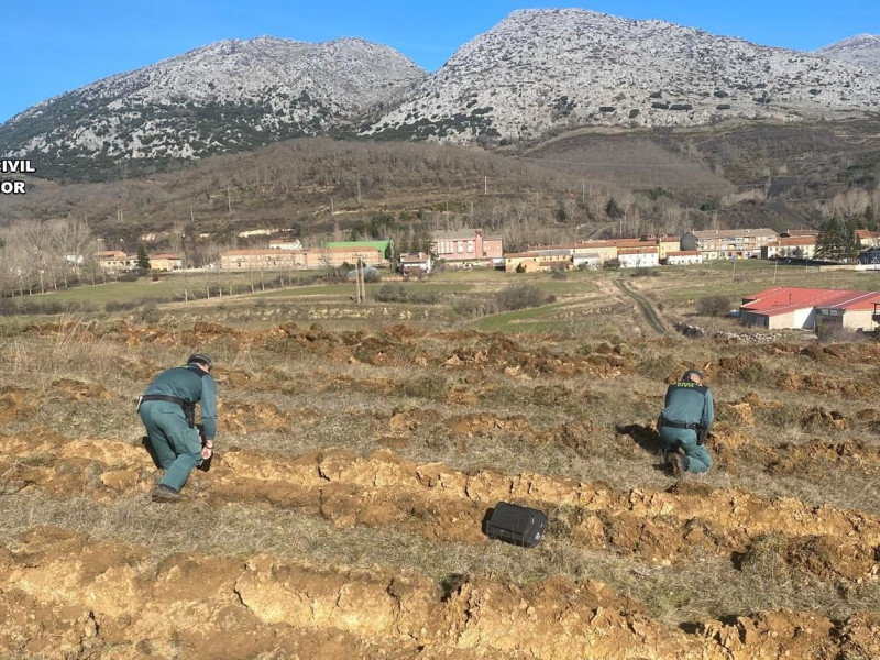 Actuación del SEPRONA en el yacimiento