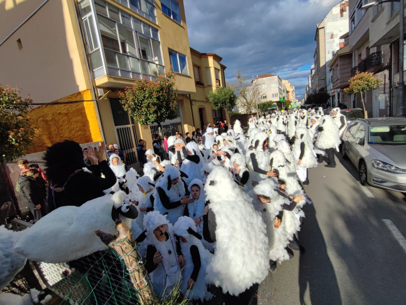 Pasou polo desfile un grupo de ovellas moi divertidas